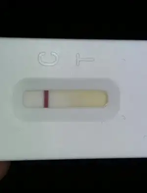 2017-06-08 19.37.56.webp