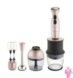 karaca-blendfit-ile-saglikli-lezzetler-3-450x478.webp