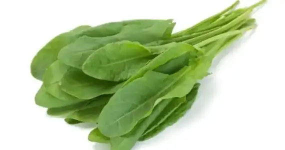 C__Data_Users_DefApps_AppData_INTERNETEXPLORER_Temp_Saved Images_imagesM4QTCYG7.webp
