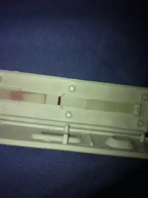 image.webp