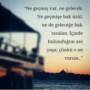 20170717_005034.webp