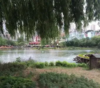 image.webp