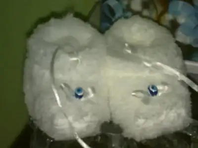 $03012010030.webp