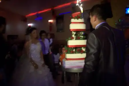 $100_8044.webp