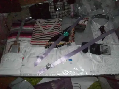 $100_8732.webp