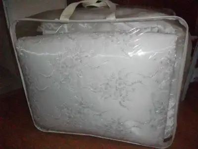 $100_8744.webp