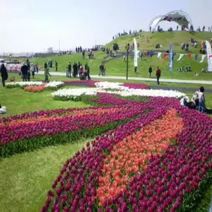 $4_11690_0_SEKAPARK 008.webp