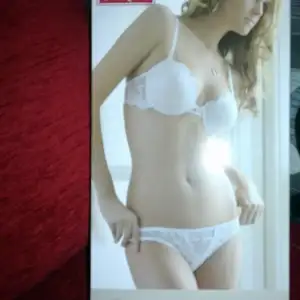 $24122011086.webp
