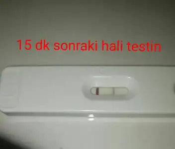 e4534d4d-cf1b-454b-aaa1-6e50654d0aa5.webp