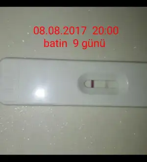20170808_211416.webp
