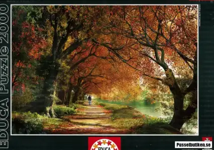 $Forever Autumn 2000.webp