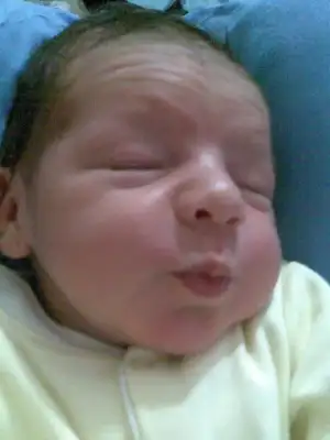 $Görüntü100.webp $Görüntü100.webp