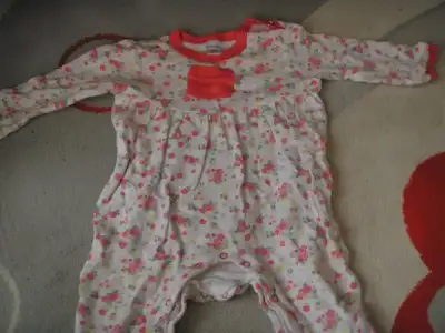PA010982.webp