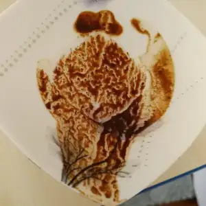 20170815_155949.webp