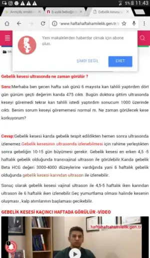 Screenshot_2017-08-17-11-43-12.webp