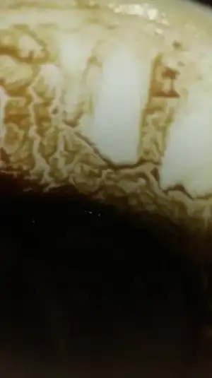20987725_10214552436391660_1975135354_n.webp