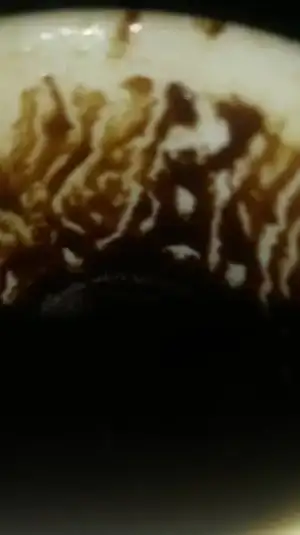 21015446_10214552437831696_26766618_n.webp