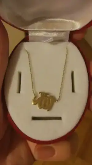 WhatsApp Image 2017-08-29 at 11.44.49 PM.webp