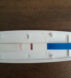 2017-09-02 13.06.04.webp