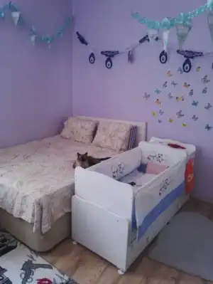IMG-20170902-WA0000.webp