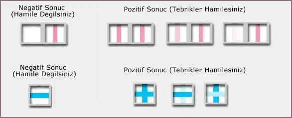 İdrar-testi-hamilelik.webp