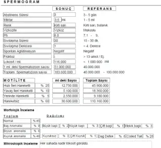 $screenshot2.webp