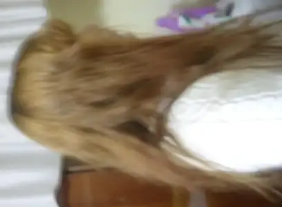 $SAM_8009.webp $SAM_8009.webp