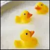 $th_ducky35.webp