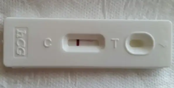 2017-09-14 11.04.41.webp