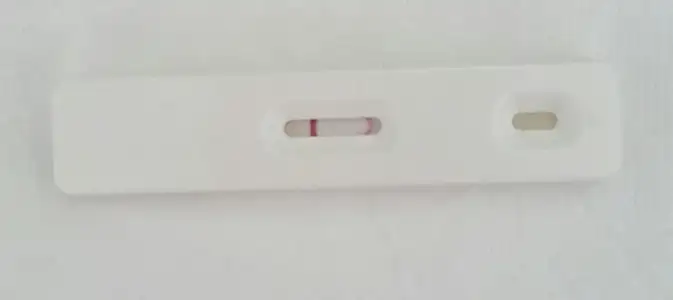 2017-09-18 16.05.28.webp