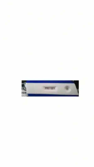 sketch-1506843781876.webp