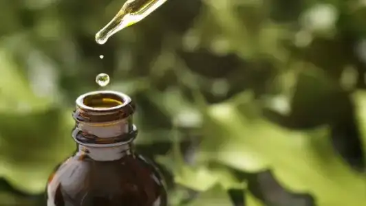 Bhringaraj Yağı Hızlı Saç Uzatma Mucizesi