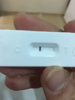 WhatsApp Image 2017-10-04 at 19.46.10.webp