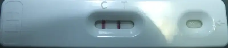 DSCF8899.webp