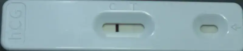 DSCF8981.webp