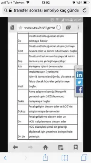 D5B7A0F3-41DC-455A-A180-9E68B4E85F4E.webp
