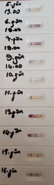 20171014_125951.webp