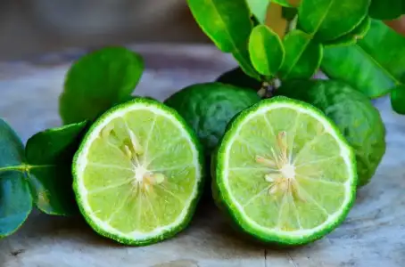 Bergamot Zayıflatır Mı?