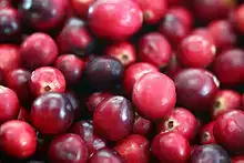 220px-Cranberries20101210.webp
