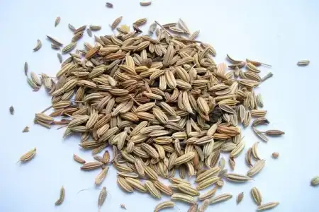 Göz çevresi kırışıklıklarını yok eden rezene maskesi
