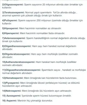 EDD0E915-B9B8-4AE2-B8E2-97BA8B46A1A9.webp