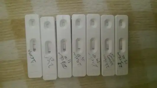 IMAG2670_BURST002.webp