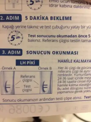 660E1099-F6ED-445C-87E2-59D9F85E95C0.webp