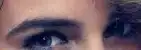 $picture 2.webp