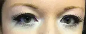 $falsies.webp