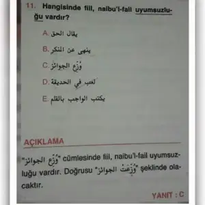 1509888032911.webp