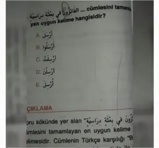 1509887986811.webp