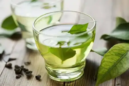 Yağlı cildin ilacı! yalancı tespih ağacı toniği nasıl yapılır?