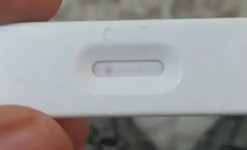 2017-11-10 19.11.03.webp