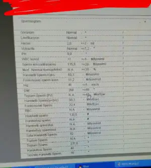 Screenshot_2017-11-15-13-26-04-410~2.webp